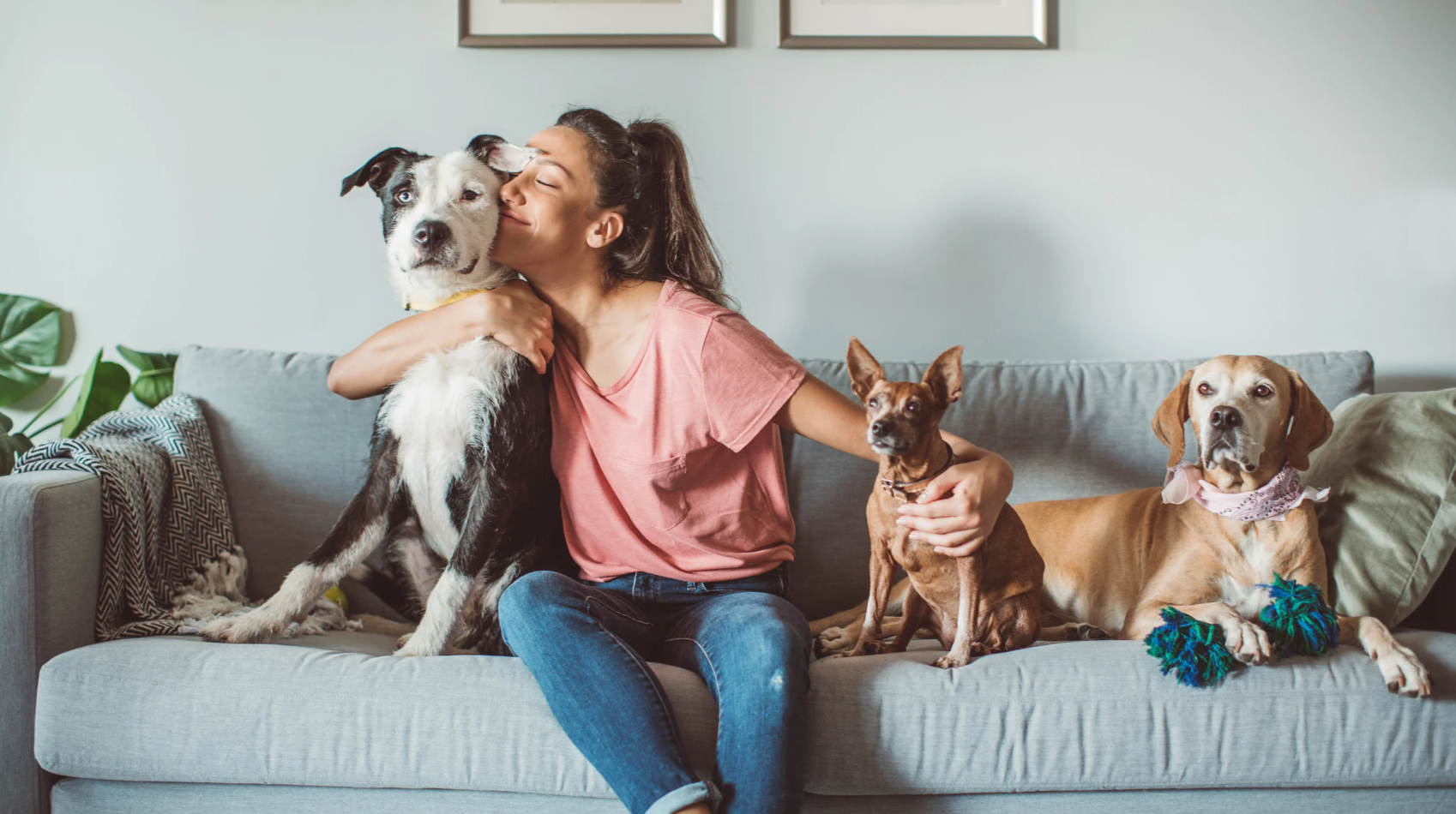 Pet-Friendly Homes: Where Style Meets Practicality